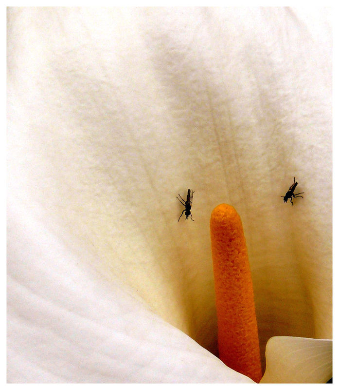 P1080557