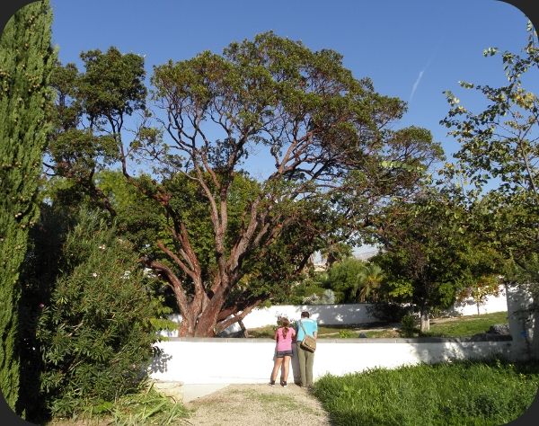 jardin botanique
