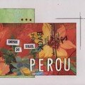 Pérou (en cours)