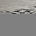 IMG_0022 - Copie