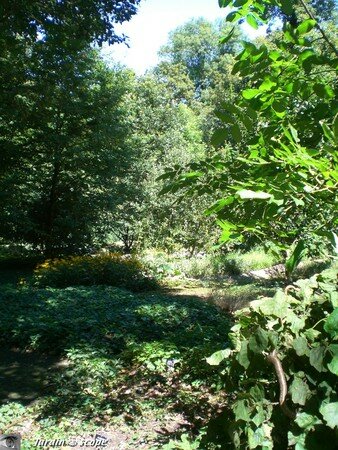 6566_Jardin_des_sens