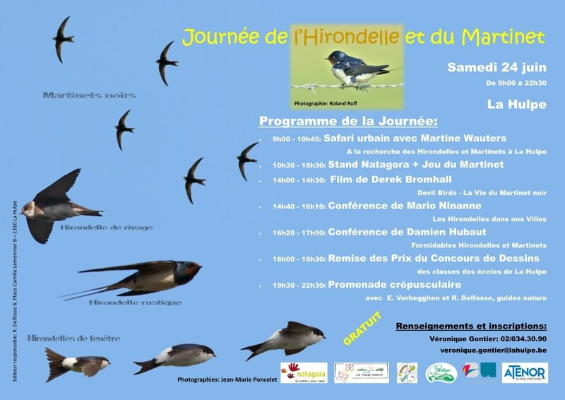 AfficheA3Hirondelles