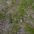 _DSC0070