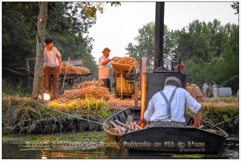 Maillé, l’Histoire du Marais Poitevin au fil de l’eau (3)