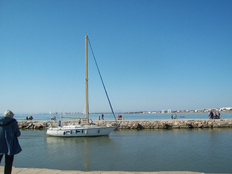 promenade au GRAU DU ROI - le blog de michelotte