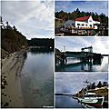 Orcas Village