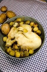 Poulet-chou-bruxelles-bourgogne-des-flandres-18
