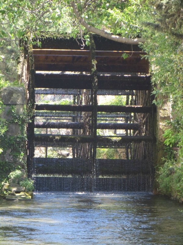 Roue à aubes à l'Isle-sur-la-Sorgue