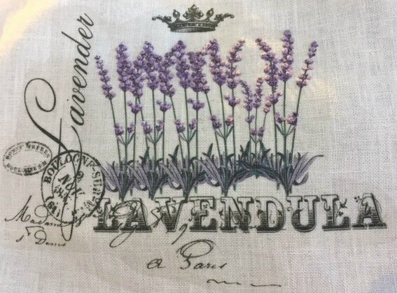 lavendula 2