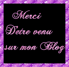merci_d__tre_venu_sur_mon_blog