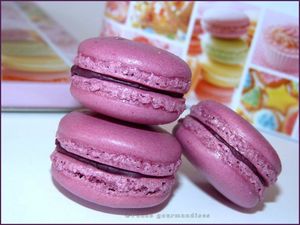 macarons fruits rouges parfum violette (52)