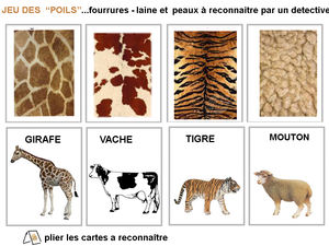 IMAGES_JEU_2