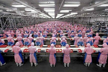 manufacturedlandscapes1
