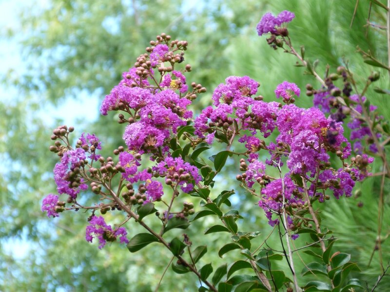 P1100293