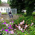 IMGP3842