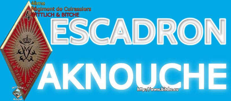 - PANNEAU d' ESCADRON CAPiTAiNE AKNOUCHE