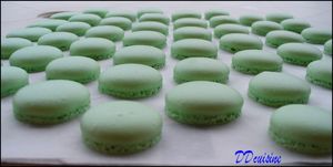 P1020378