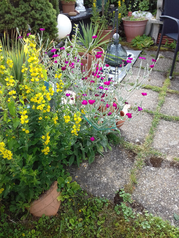 20180617_095517