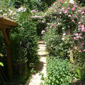 Autour de la cabane de jardin au toit végétalisé…