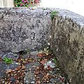 _IGP9579