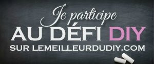 defi-diy-lemeilleurdudiy-300-125