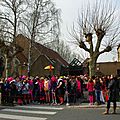 IMGP2437