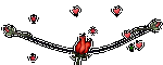 fo3z69hf