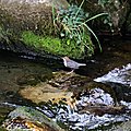 Arreau (9)