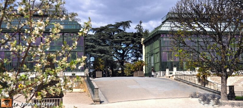Grandes Serres du Jardin des Plantes de Paris