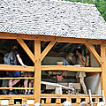IMG_9720