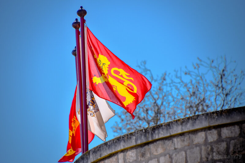 l'expansion de l'empire Plantagenêt - Donjon de Niort (4)