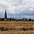 IMG_4472