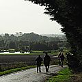 IMGP0695