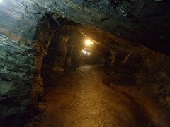 DSC00689