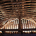 IMG_6987