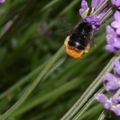 2010-06-21_124221