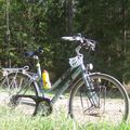 vélo sud Estonie