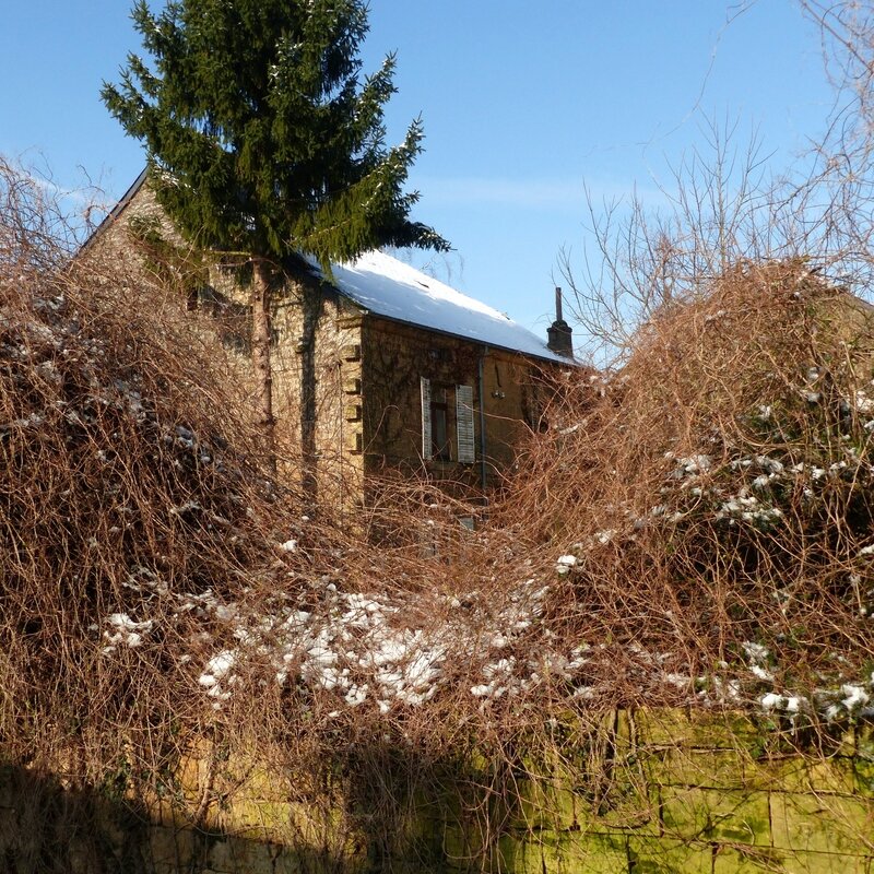 aa torgny12