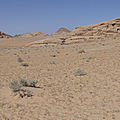 P1010698