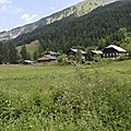 _DSC0475