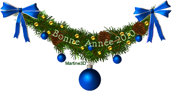 bonneann_e_2010