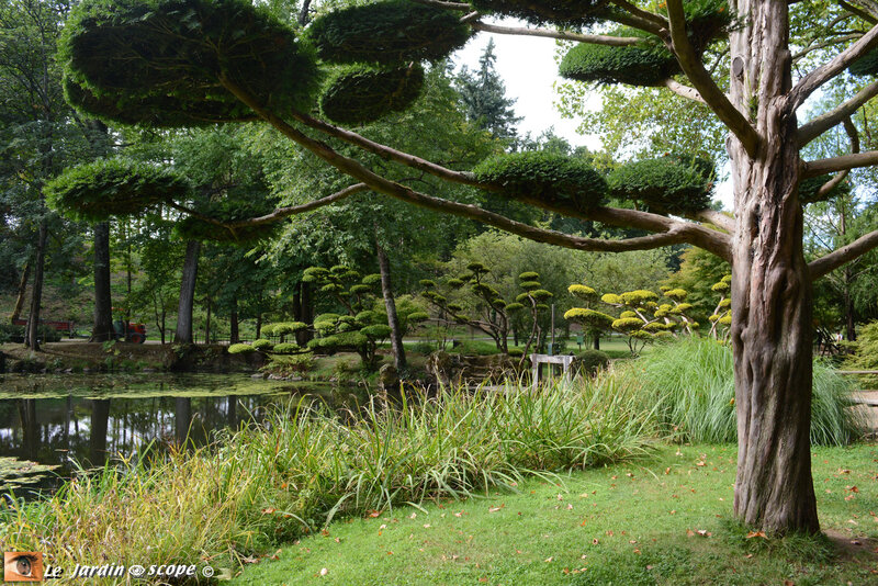 PAT_0942 Parc Oriental de Maulévrier