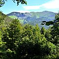 Le Layens depuis le bas du Castillon...
