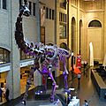 Toronto centre AG (86).JPG