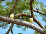 P1000168
