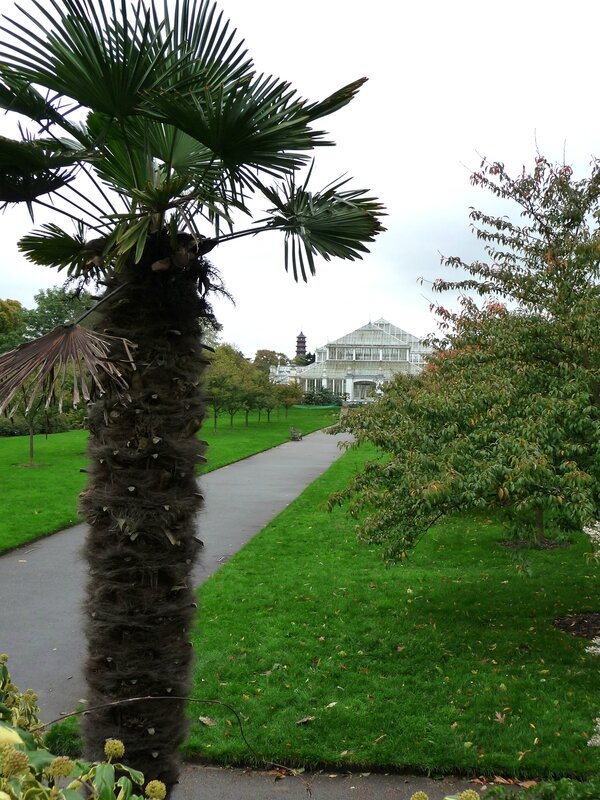 Temperate House à Kew