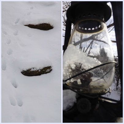D'1 jour à l'autre (44)
