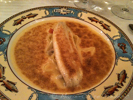 sole