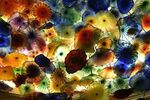 800px_Chihulyceiling