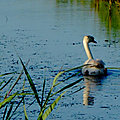 20072021 (5)